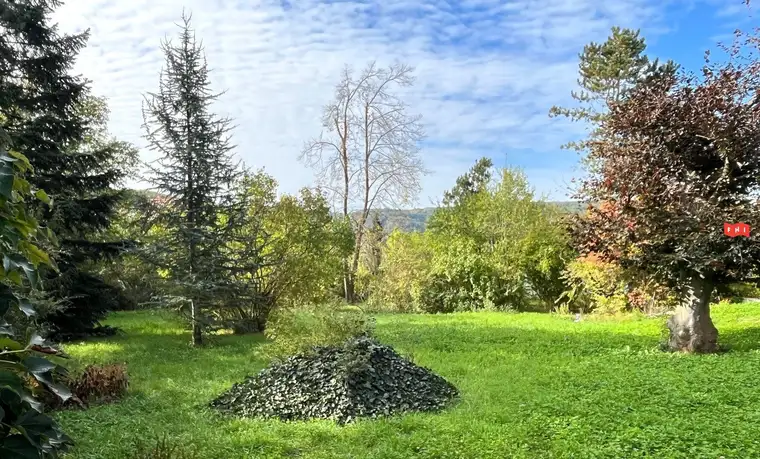 Schöner Baugrund mit Blick auf die Burg