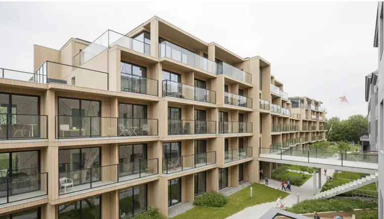 Bauprojekt Neubau baubewilligt: Studentenwohnheim