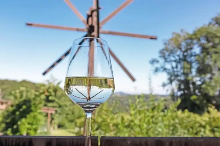 Wohnträume zwischen Wein, Lavendel und Weitblick - Top3
