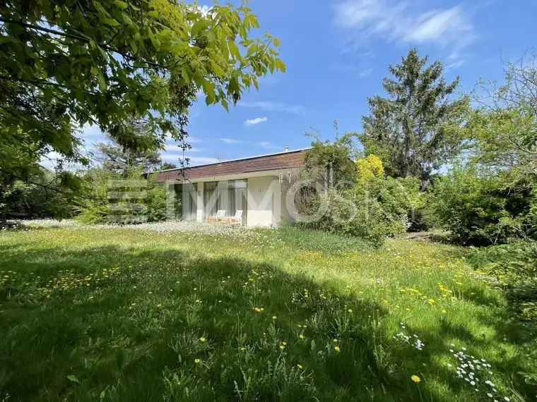 Bungalow im Dornröschenschlaf! Bitte wach küssen!
