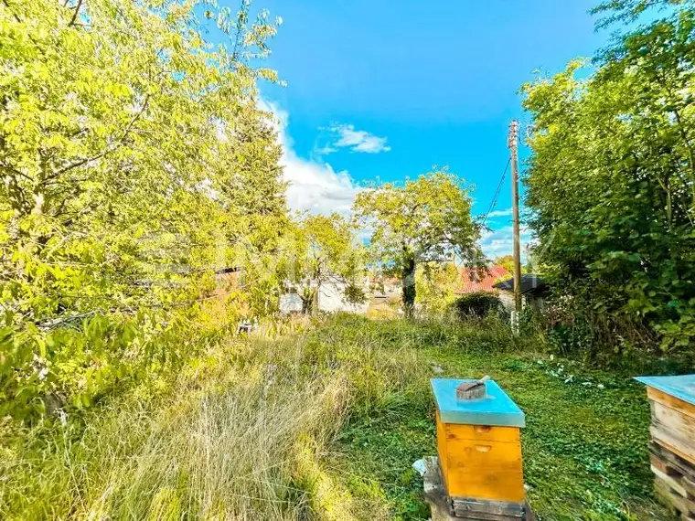 Sommerparadies im Grünen - Ihr Kleingartenglück wartet!