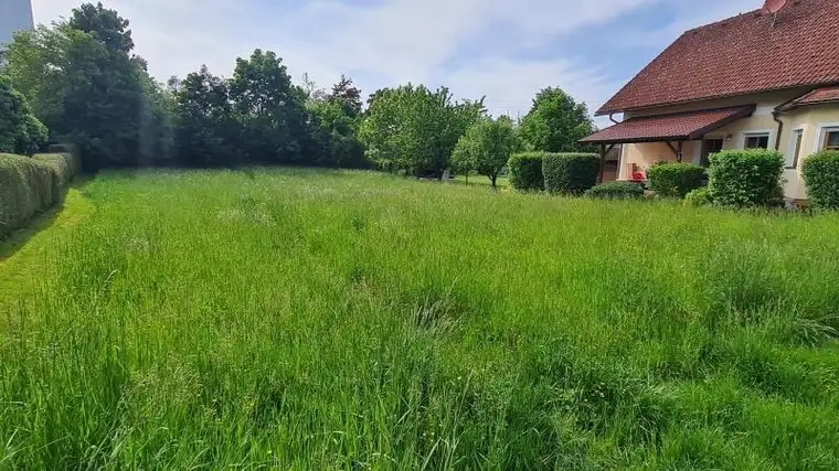 Drei bis vier Wohneinheiten möglich!