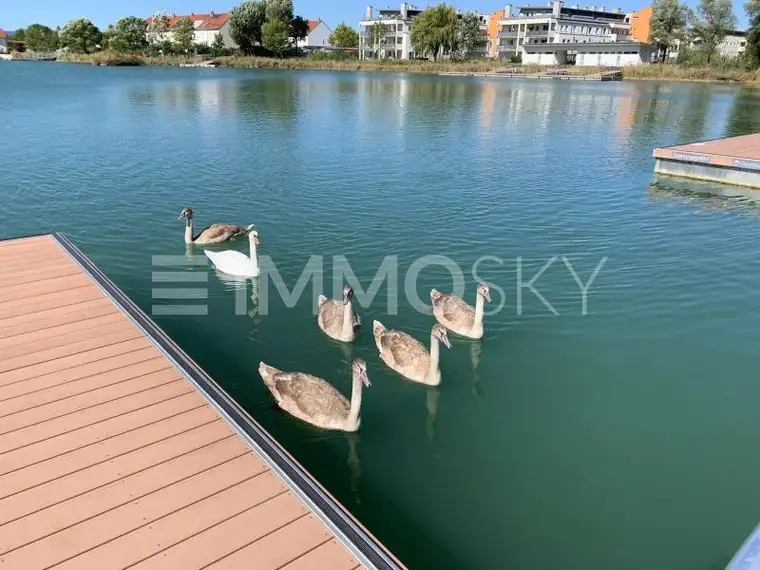 Wohnglück im Seepark Vösendorf!