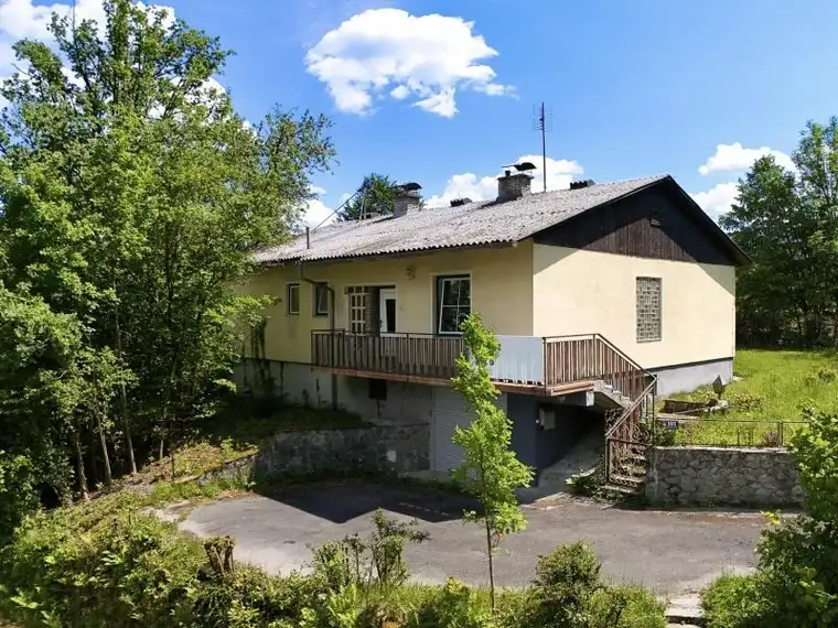 Grünes Paradies für Heimwerker!