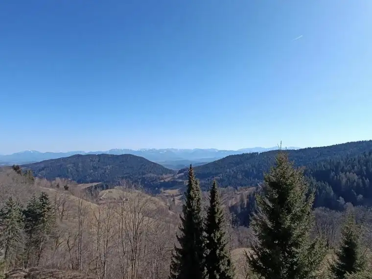 Work and Relax: Apartment mit Aussicht auf der Simonhöhe