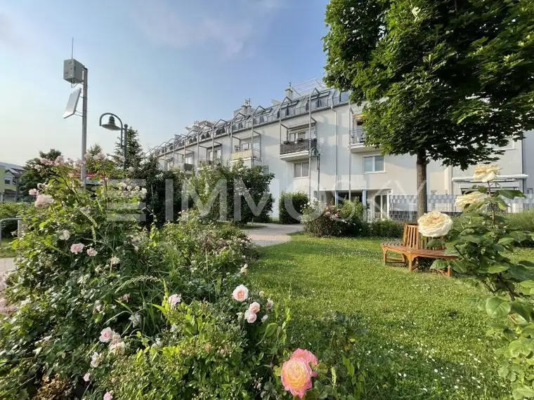 urban-grün-wohnlich