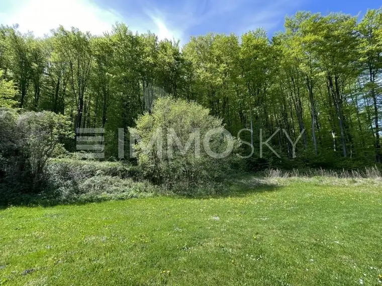 Gartenparadies am Stadtrand von Klosterneuburg!