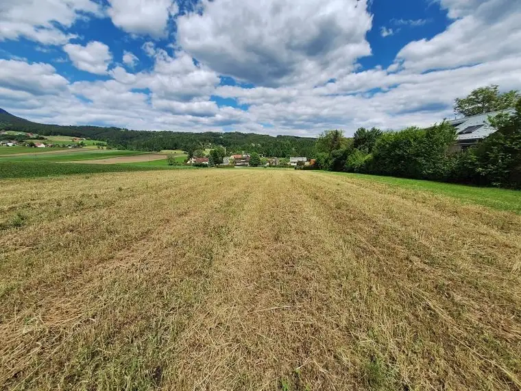 Natur PUR! Perfekt für GenießerInnen!