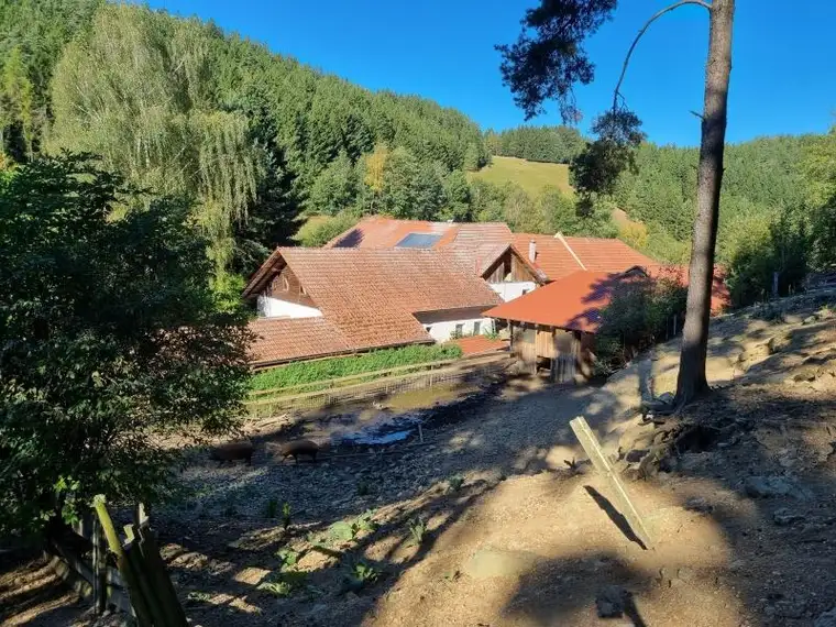 Idyllisches Traumanwesen für Landwirtschaft, Seminar oder Gästehof