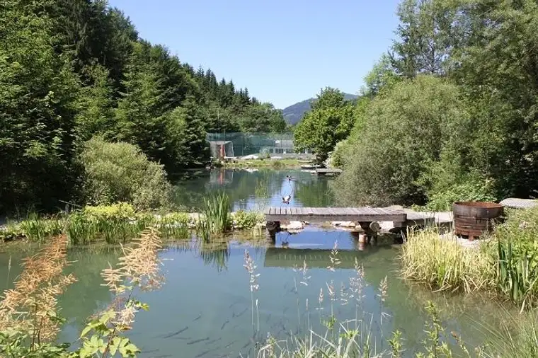Idyllische Ruhelage im Grünen mit Bade/Fischteichen!