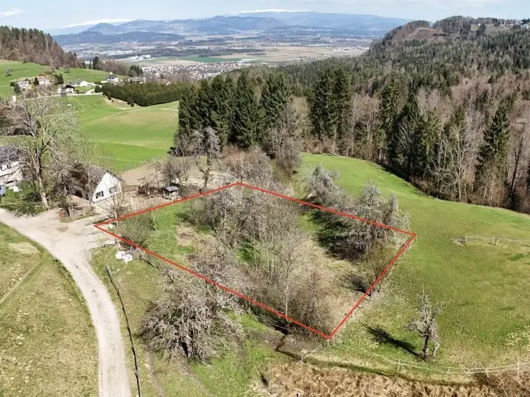 Ruhiges Wohnen am Zwanzgerberg - Ihr Traumhaus wartet!