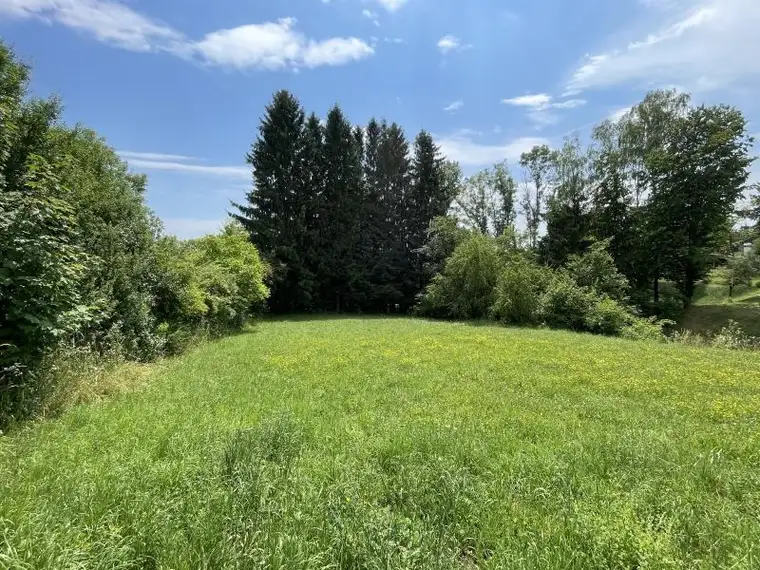 Sonniges Baugrundstück in Graz-Umgebung