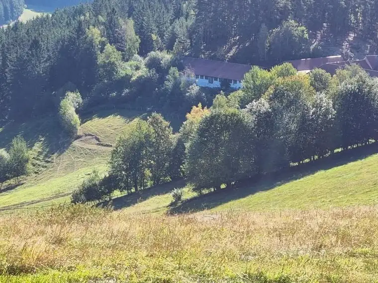 Idyllischer HOF für Landwirtschaft, Mostheurigen, Gästezimmer