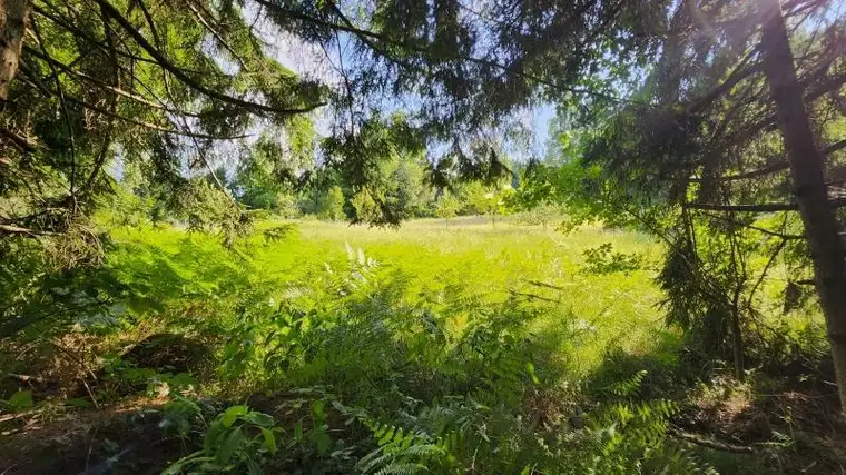Natur spüren, Freiheit genießen  Ihr Platz zum Ankommen