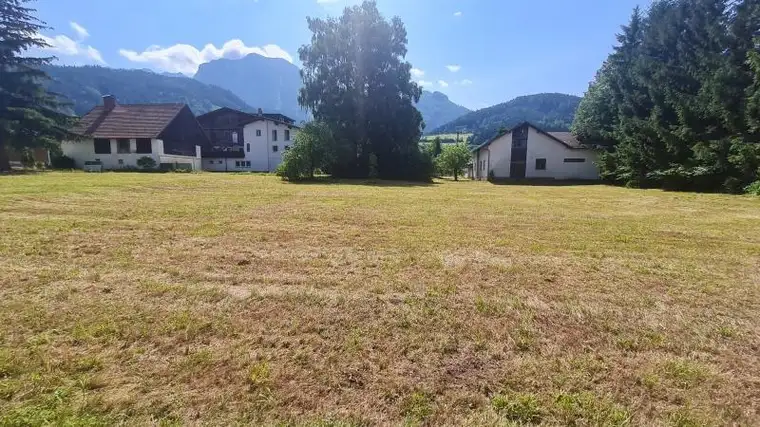 Wohnungen, Reihenhaus, Doppelhaus oder doch ein Einfamilienhaus?