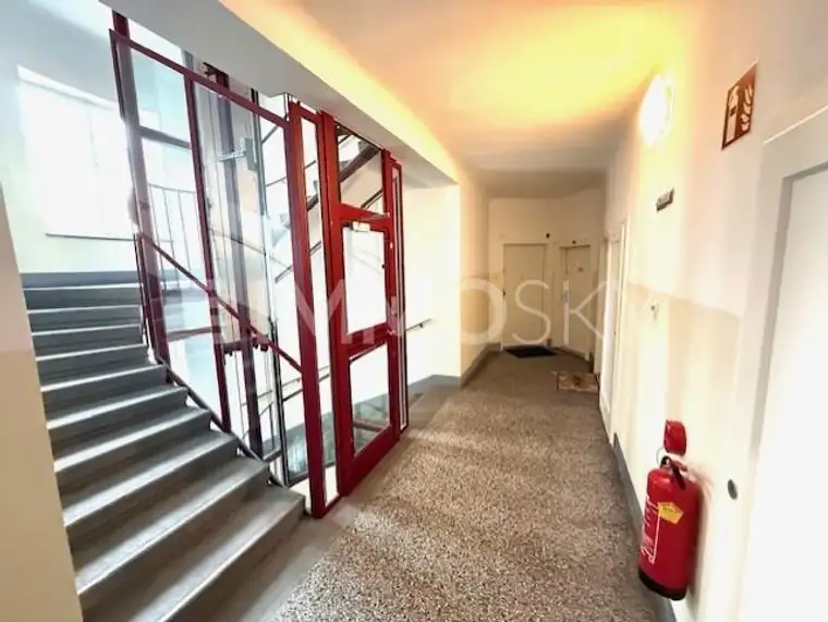 Innenstadt Pärchen-Domizil! Sanierungsbedürftig !