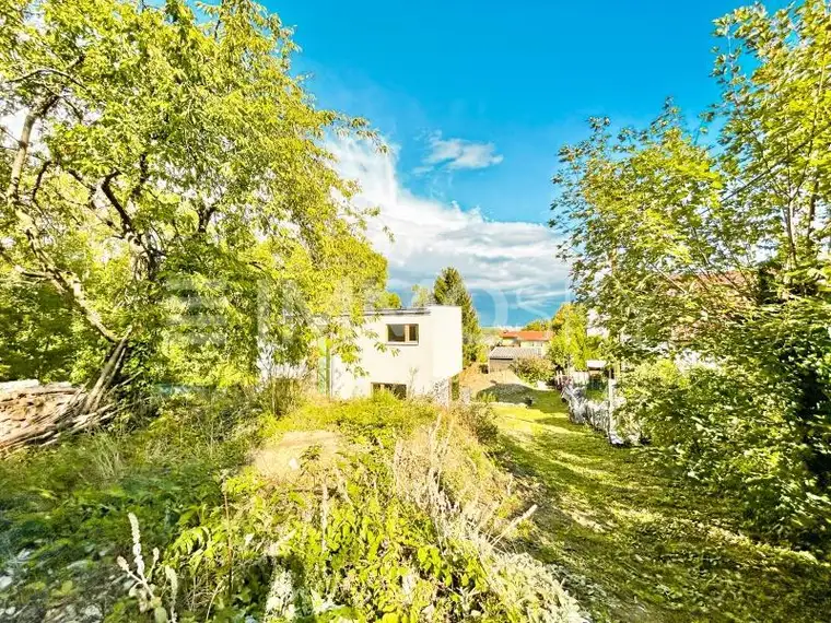Grünblick - Atemberaubendes Kleingartenparadies!