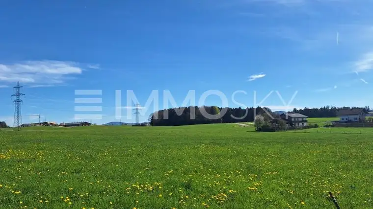Perspektive trifft Potenzial  Sonniges Grundstück in Seekirchen