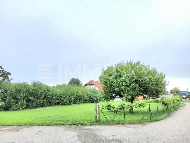 Großer Baugrund zwischen Linz und Wels!!