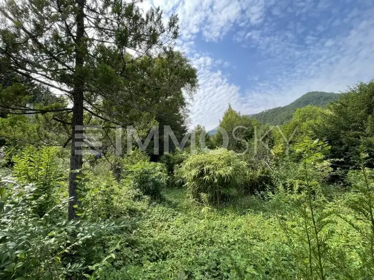 Grundstück mit Altbestand!