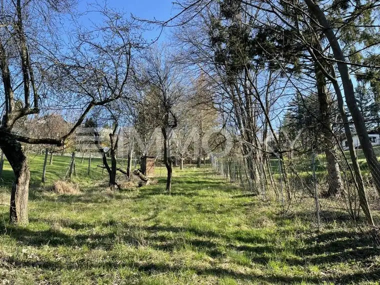 Naturverbunden! grün-ruhig-sonnig