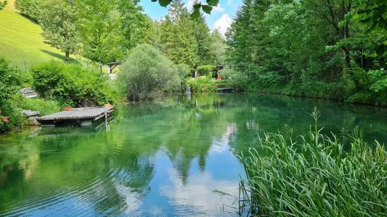 Markus Holzinger, SkyLead Real GmbH - Linz