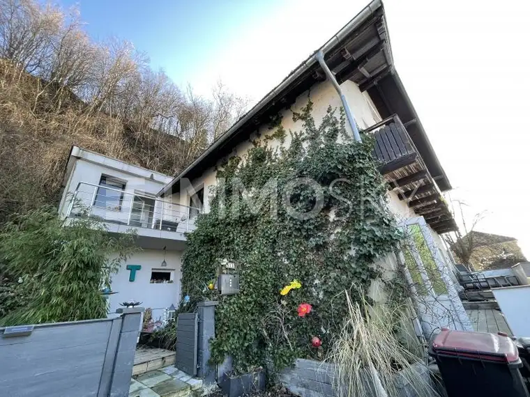 Direkt beim Donaualtarm Greifenstein!