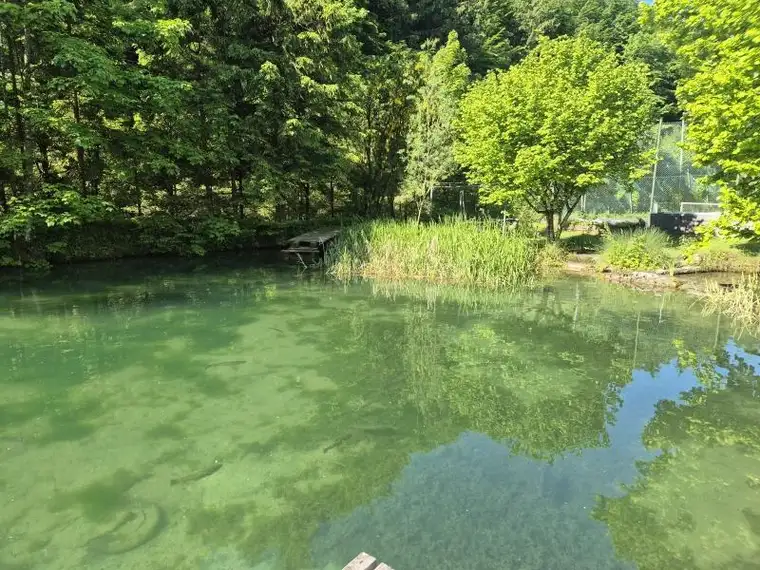 Markus Holzinger, SkyLead Real GmbH - Linz