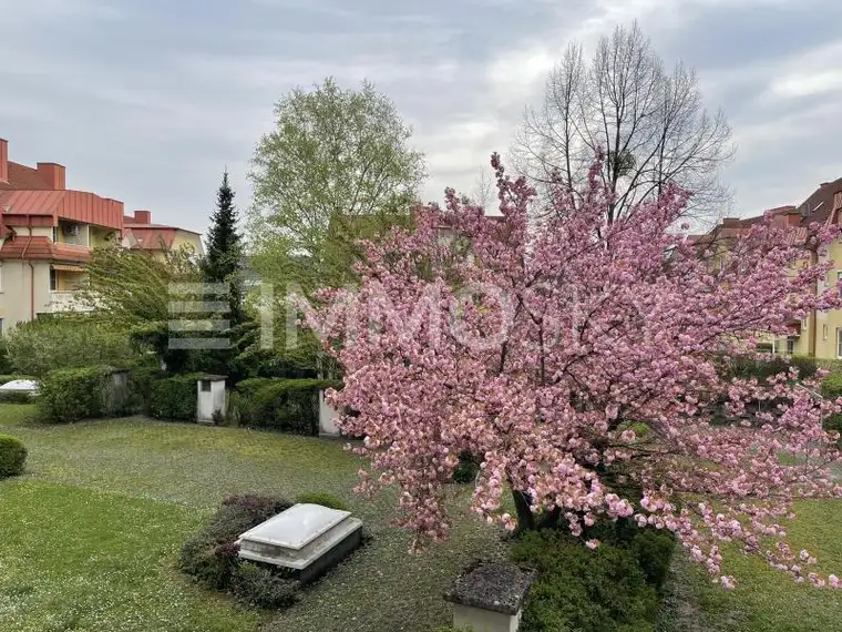 Familienhit! TG-Platz, Lift und Balkon inklusive!