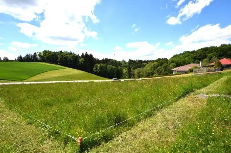 Weitblick-Traumplatz für Ihr Traumhaus-Stadtgrenze Urfahr