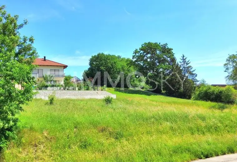 Über 800 m2 Bauland mit Panoramablick zwischen Wels, Linz und Kematen!