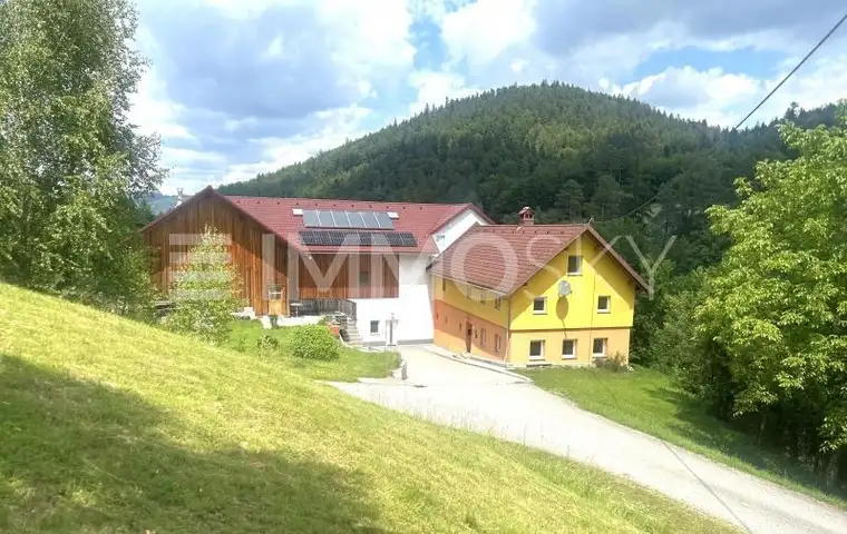 Absolute Ruhe-Historisches Bauernhaus in Alleinlage mit Lagerhallen