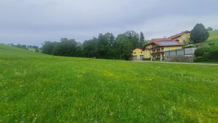 Zwischen Seitenstetten und Böhlerwerk!