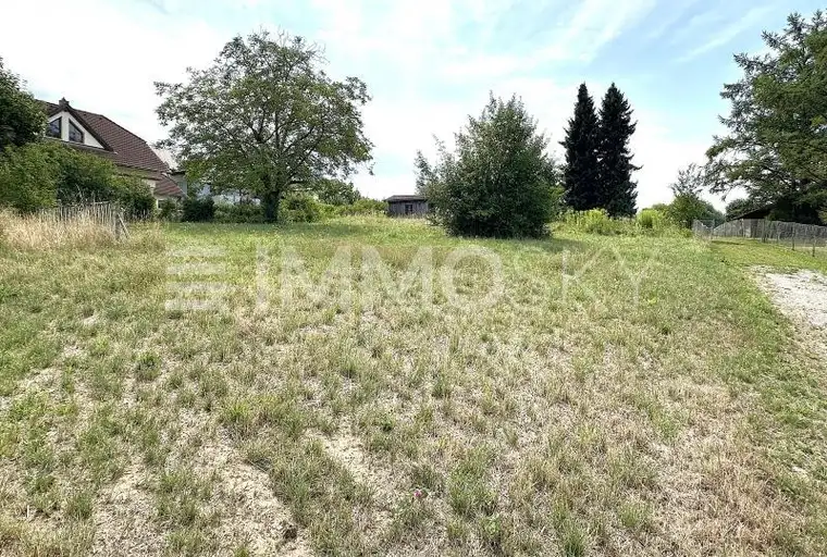 Hier könnte Ihr neues Zuhause seinen Platz finden