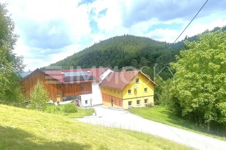 Rarität im Grünen: Idyllisches Zuhause in Alleinlage