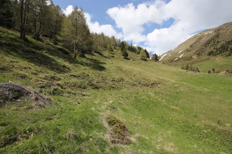 Traumhafte Almimmobilie mit Eigenjagd und Quelle – Flattach, Kärnten

