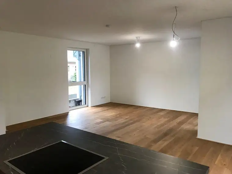 Exklusive Doppelhaushälfte mit 5 Zimmern - Arbeiten oder Arbeiten &amp; Wohnen in Bestlage von Weidling - ZWEITBEZUG