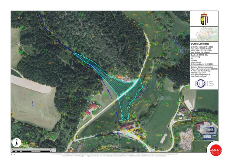Landwirtschaftliche Nutzfläche (Wiese und Wald) zu verkaufen
