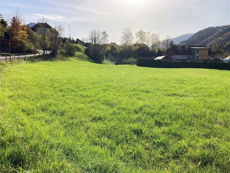 Weyer (OÖ) | ***PREISREDUKTION*** | unbebautes Baugrundstück ca. 2.400 m² (nicht teilbar) zu kaufen