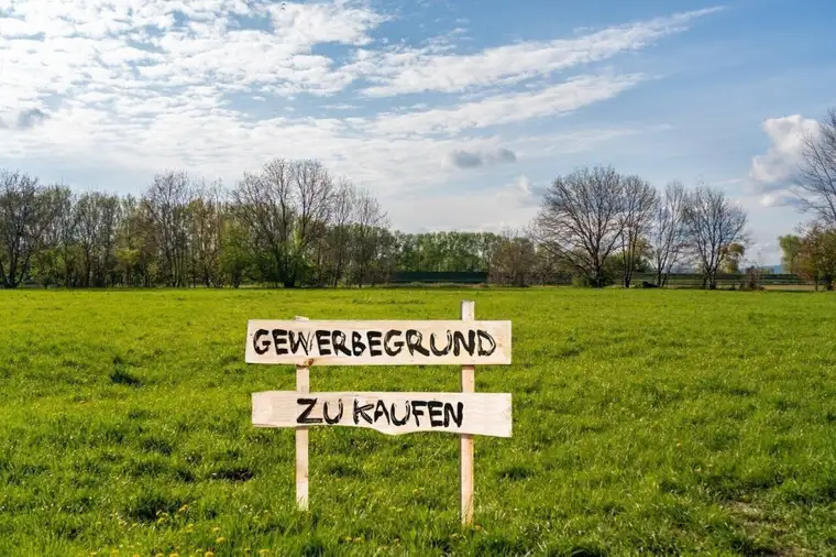 Bezirk Wiener Neustadt / Gewerbegrundstück ca. 13.000 m² (nicht teilbar) zu kaufen