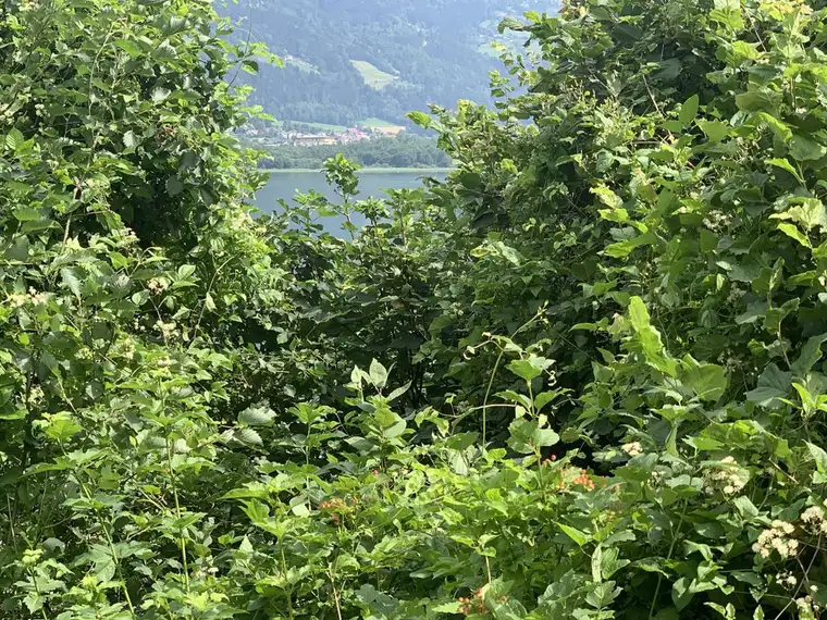 "Bauträgergrundstück mit Seezugang am Ossiacher See!"