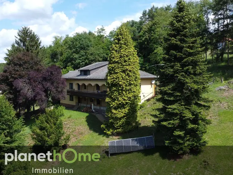 Vielseitige Landvilla im Grünen – Großzügig, einzigartig, in Ruhelage!