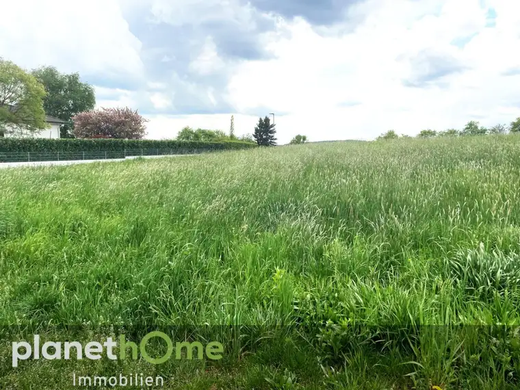 Baugrund in Oberwart - Ruhige Lage mit Fernblick!