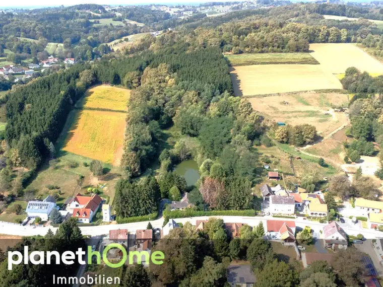 Direkte Thermennähe in Stegersbach – Traumobjekt mit Altbestand, Fischteich und Wald