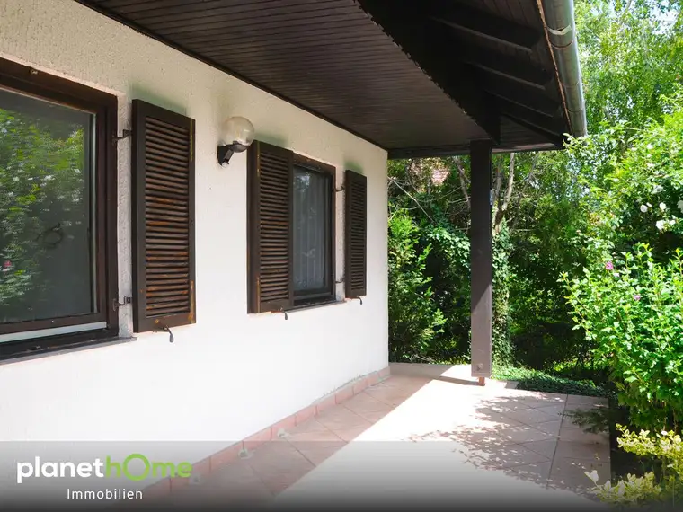 Südseitige Terrasse mit grünem Sichtschutz