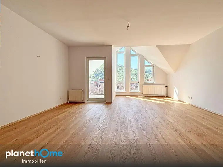 Modernisiert – Freifläche – Wienerwaldblick