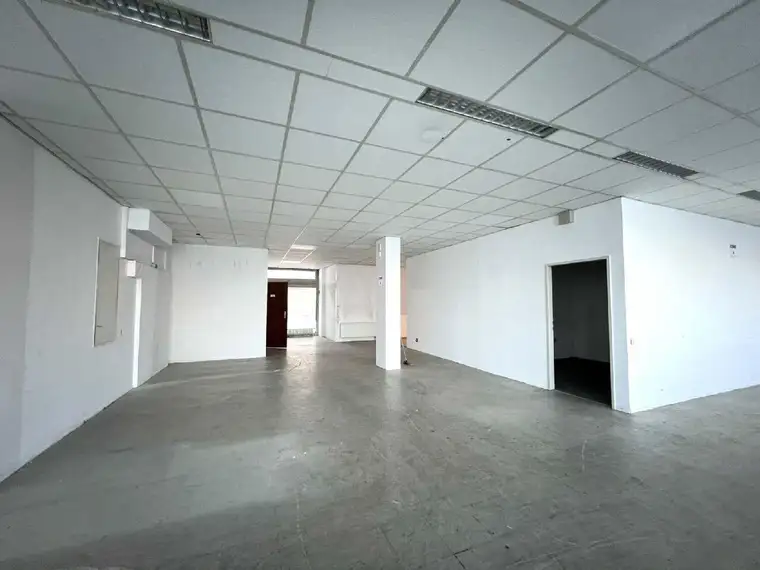 Kathrin Fercher, JP Immobilien
