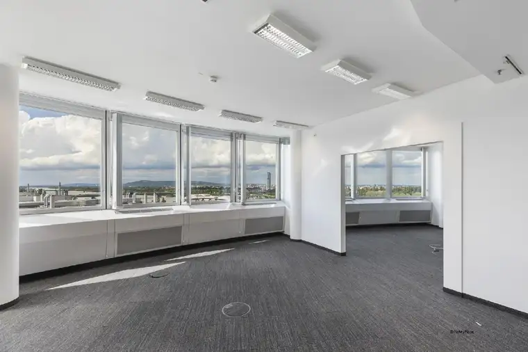Kathrin Fercher, JP Immobilien