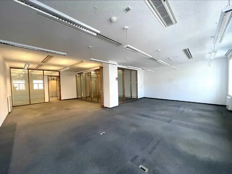 Kathrin Fercher, JP Immobilien