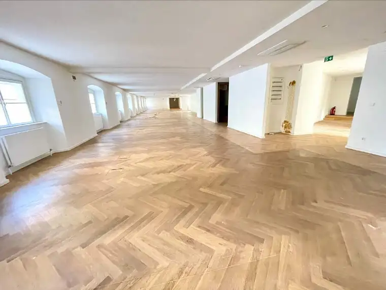 Kathrin Fercher, JP Immobilien